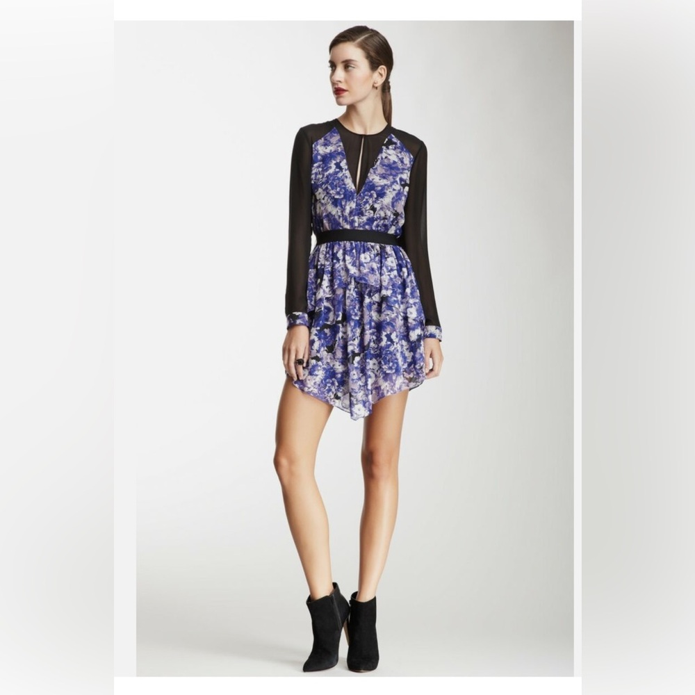 Robert Rodriguez purple floral dress, size 6. Long sleeved sheer. Flawed, stain